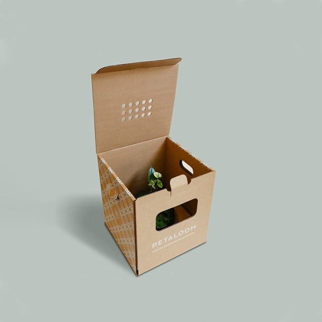 Bux Board Boxes