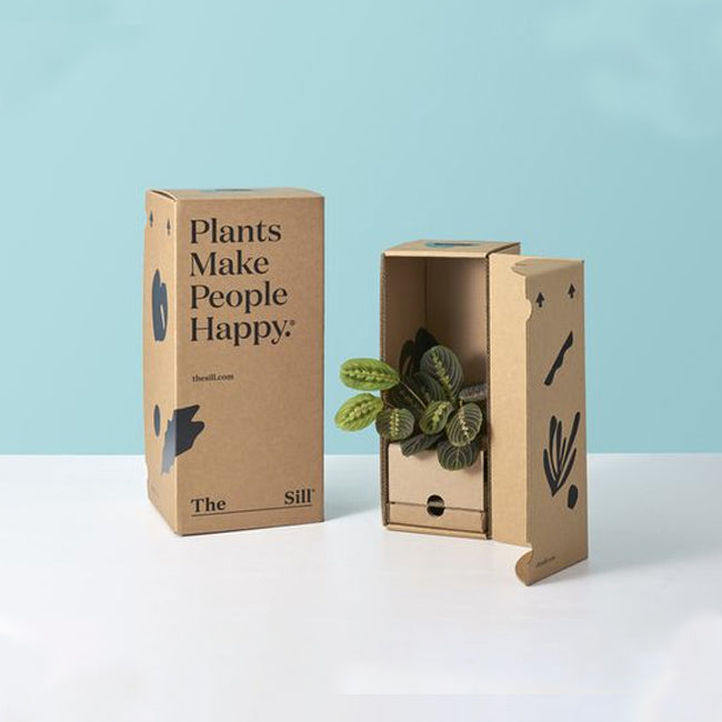 Kraft Boxes